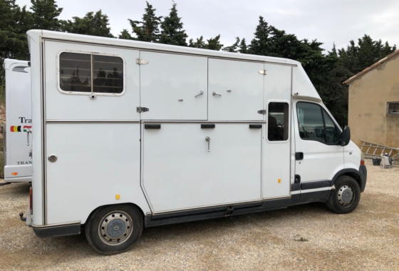 camion van 2 chevaux occasion